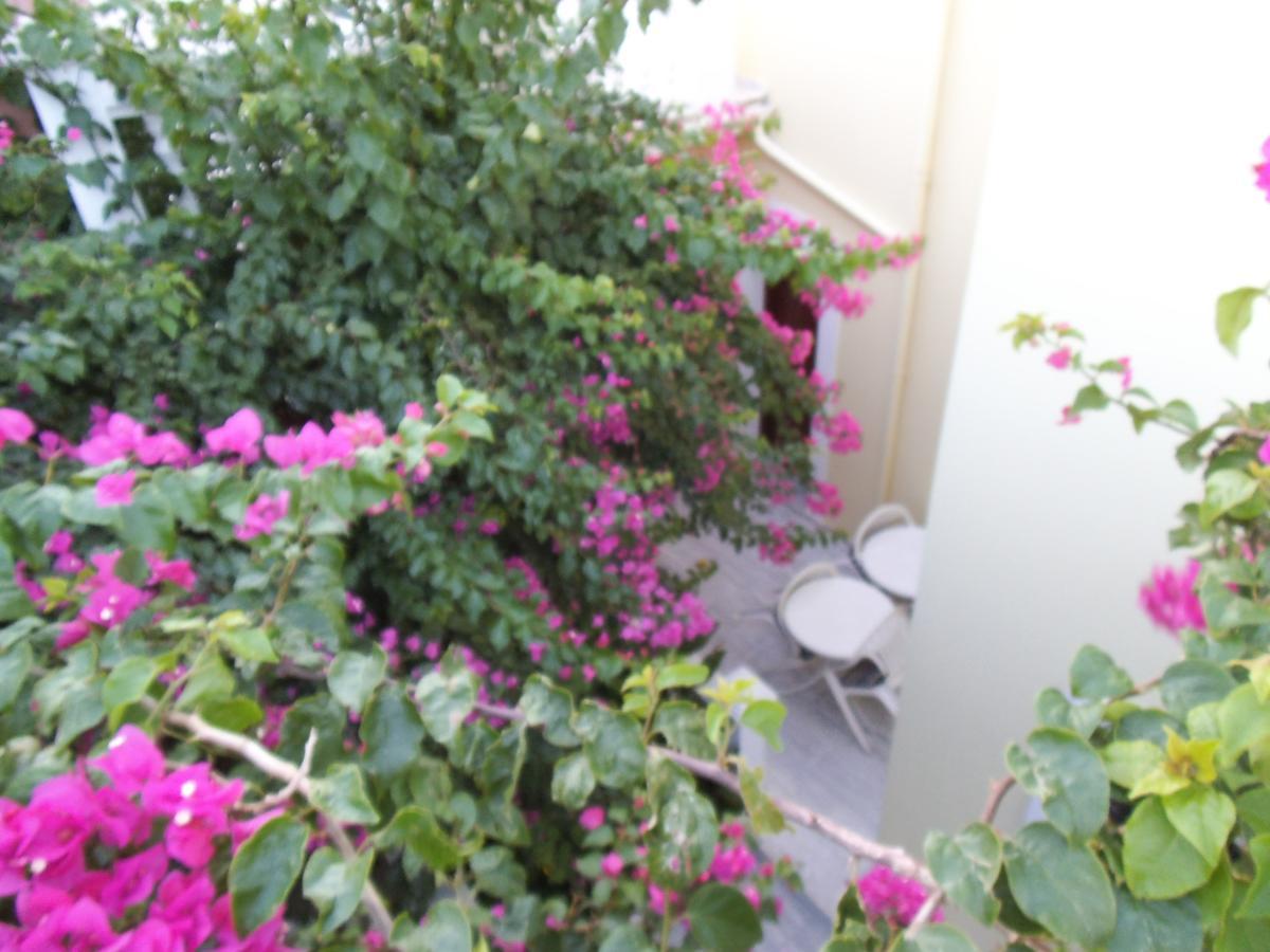 Alkyon Hotel กอกการี ภายนอก รูปภาพ